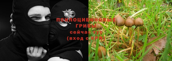 стафф Липки
