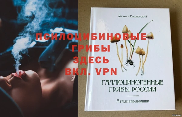 прущие крисы Магас