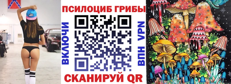 Галлюциногенные грибы Cubensis  Северодвинск 