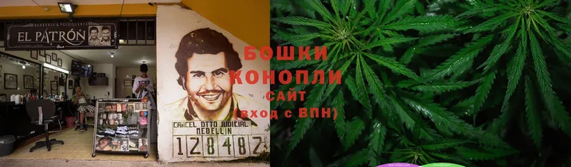 Бошки марихуана Bruce Banner  цена   Северодвинск 